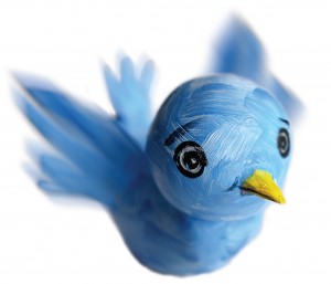 Twitter Celebrities