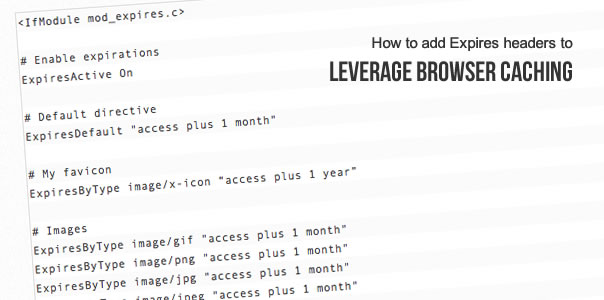How to add expires headers to leverage browser cache