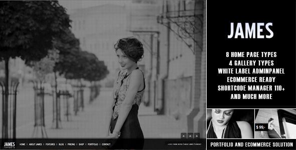 James The Next Generation WP Theme