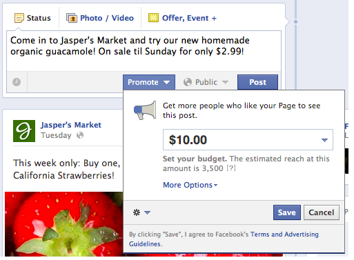 Facebook Promoted Posts 
