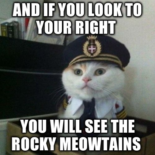 cat meem