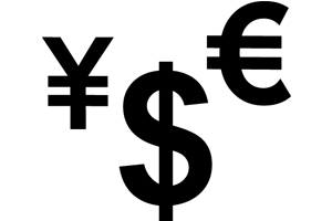 The Mobile Money Solution