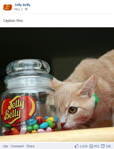 jellybelly2