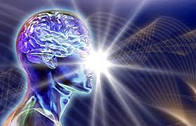 brain