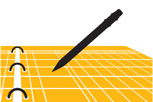 audit of a ledger