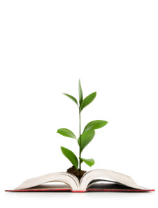 iStock_000016424337XSmall