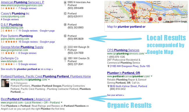 organic seo vs local seo