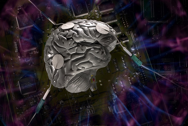 Brain