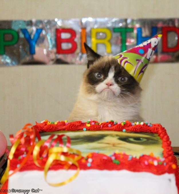 grumpycat