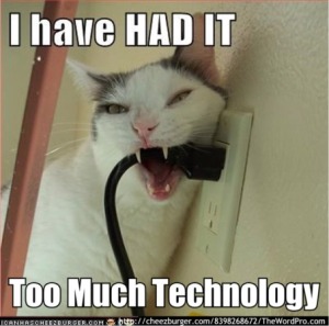 tchnology cat