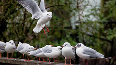 12020409446_79d40d5ced_m