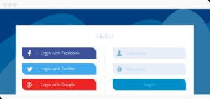 Social Login