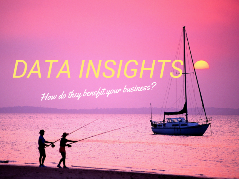 Data Insights
