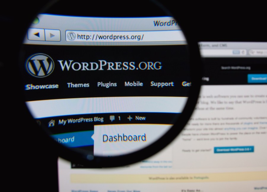 Why You Should Not Use A Free WordPress Theme