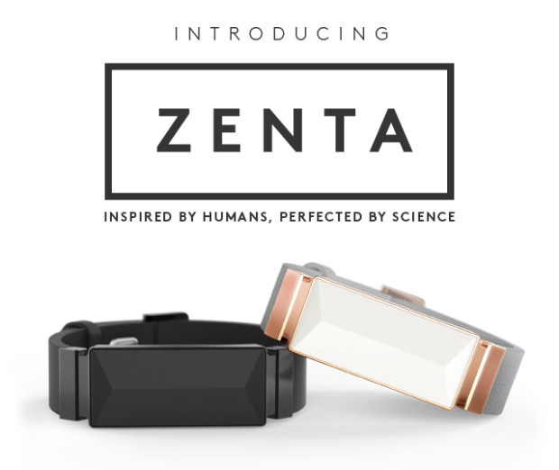 Source: Indiegogo