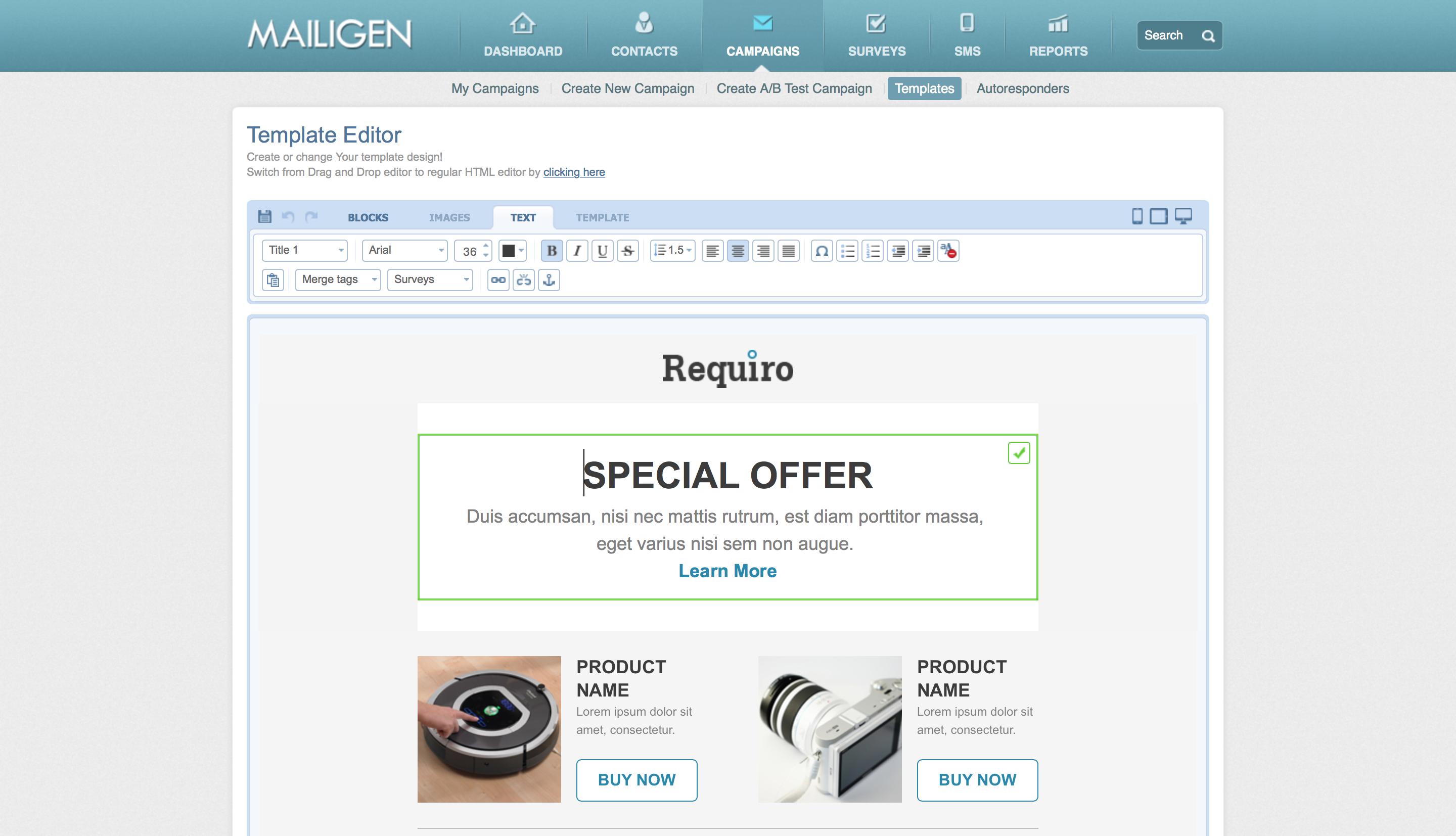 Mailigen email marketing campaign