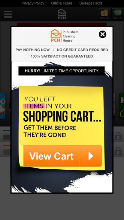 e-commerce shopping experience