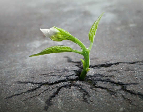 3 Requirements for Implementing Content Marketing Effectively in B2B