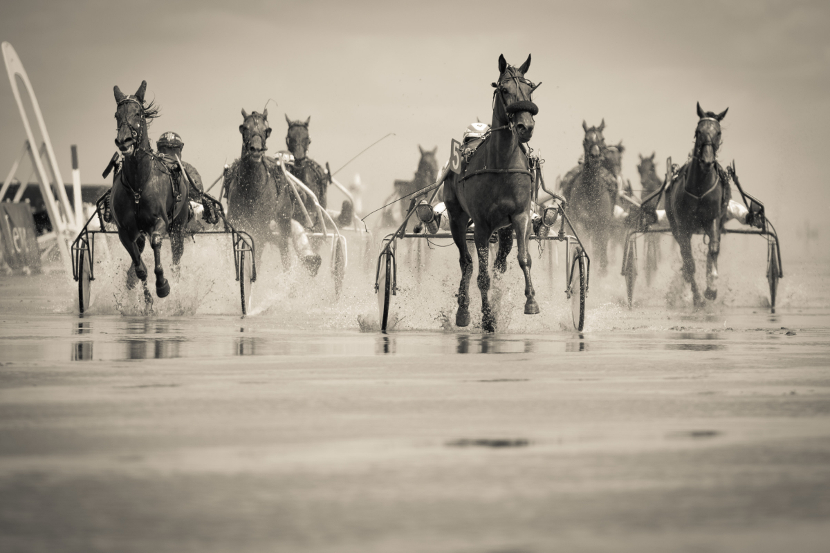 Competition is fierce, stay ahead of everyone else