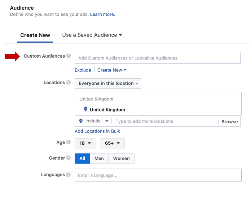 ad set custom audience