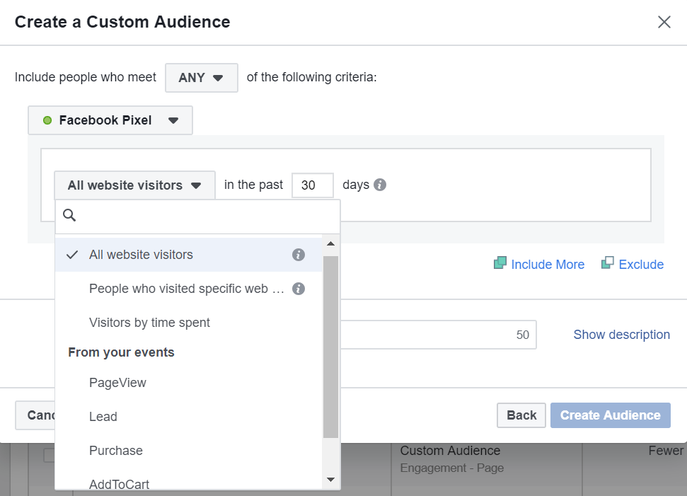 website custom audience options