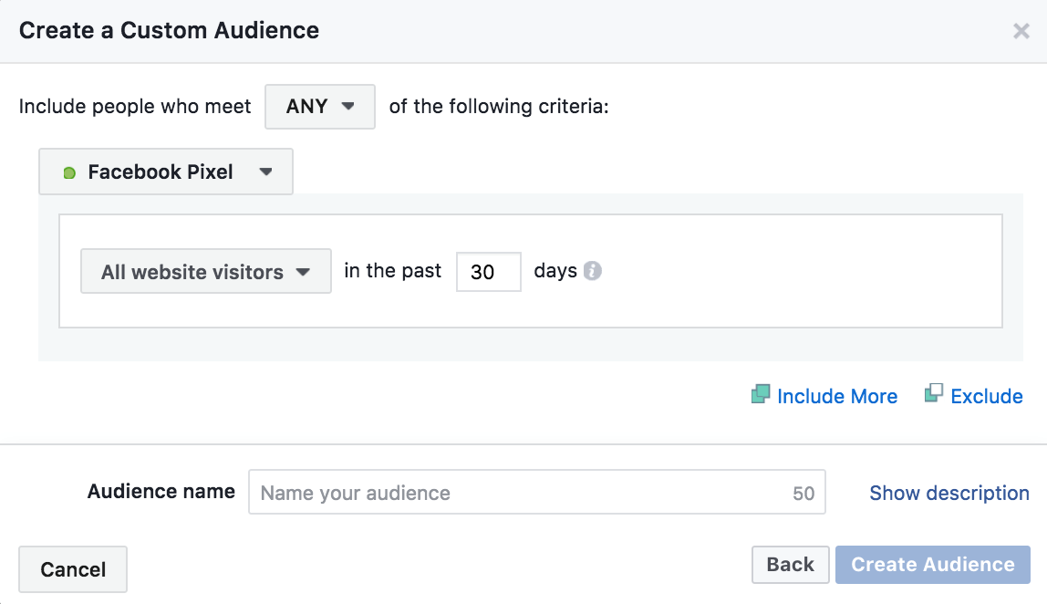 Website custom audience options