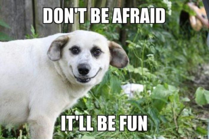 Image result for dont be scared meme