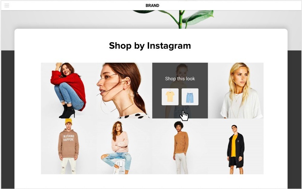 shobabble instagram posts on website