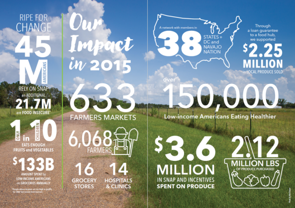 Annual Report Infographic