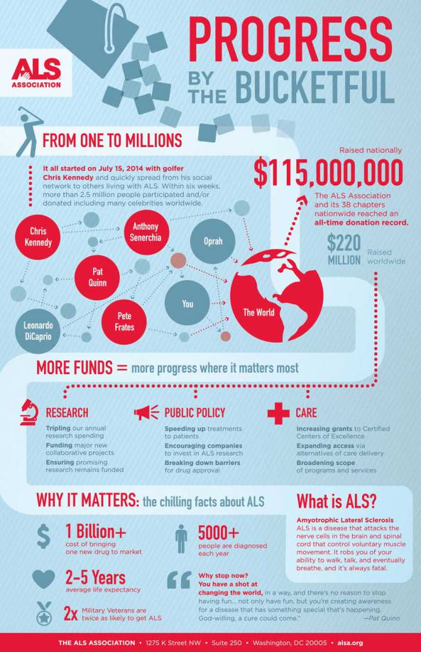 Non Profit Campaign Infographic