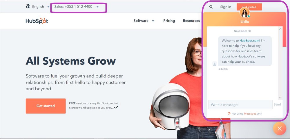 Contact details included in Landing Page example. Source: HubSpot
