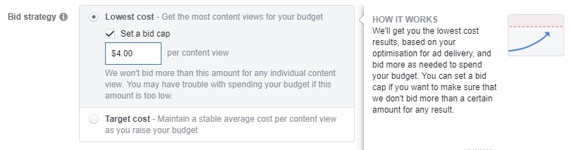 how acebook bid cap works