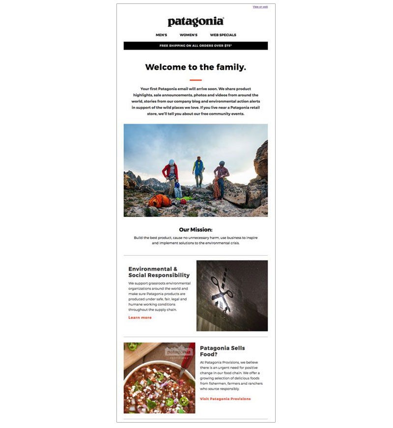 patagonia email newsletter