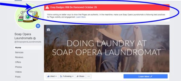 Facebook Business Page Snapshot
