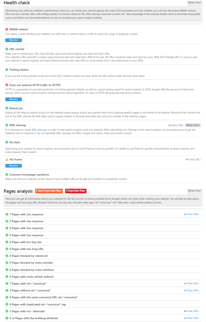 website audit