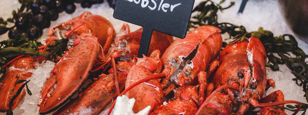 Lobster boys