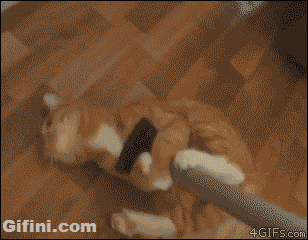 cleaning-gif
