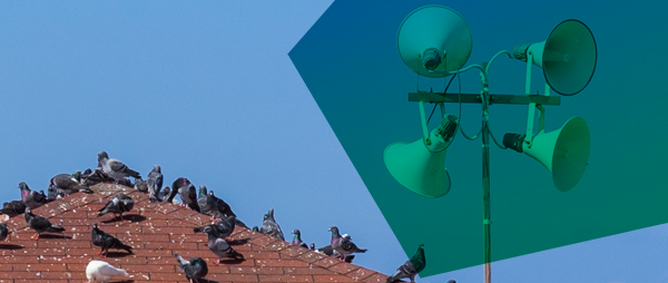 avoid being a megaphone marketer