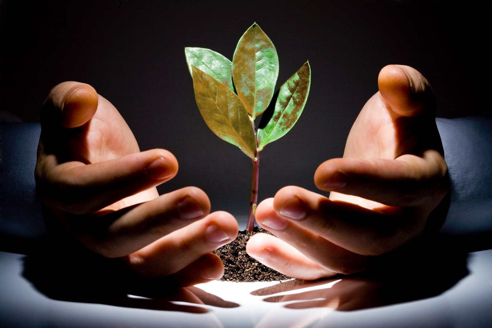 The Tech Start-Up Fallacy
