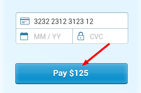 payment button