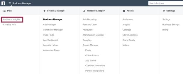 Facebook advertisings Audience Insights tool