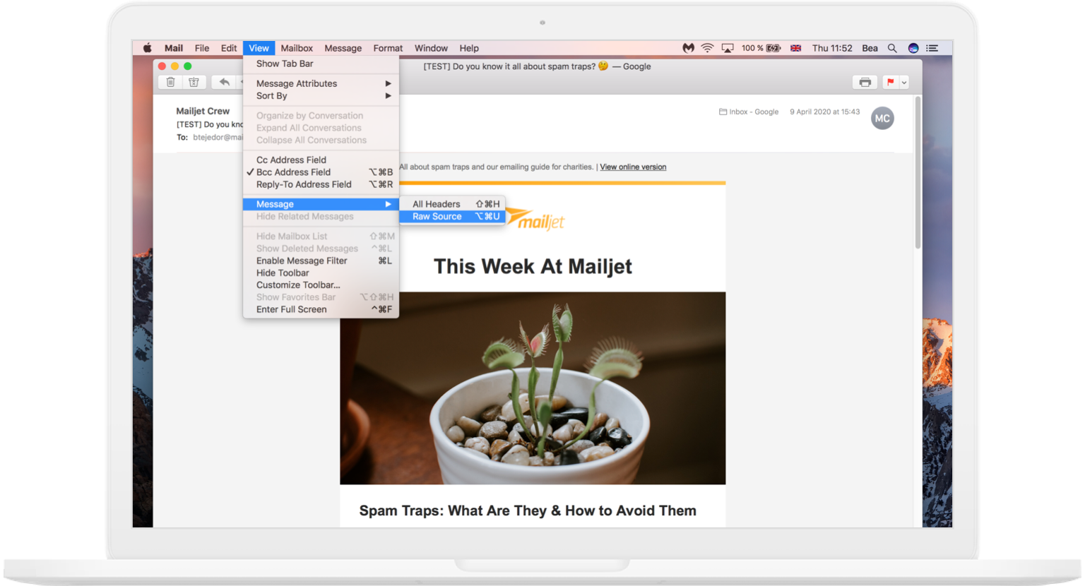 Show email header on Apple Mail