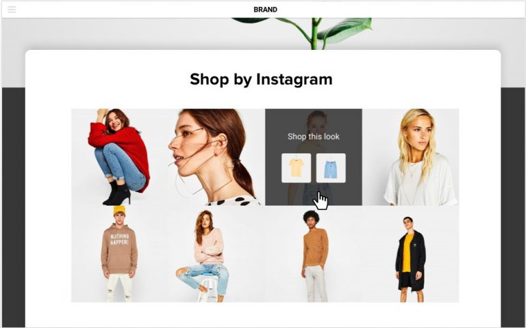 shobabble-instagram-posts-on-website-768x480