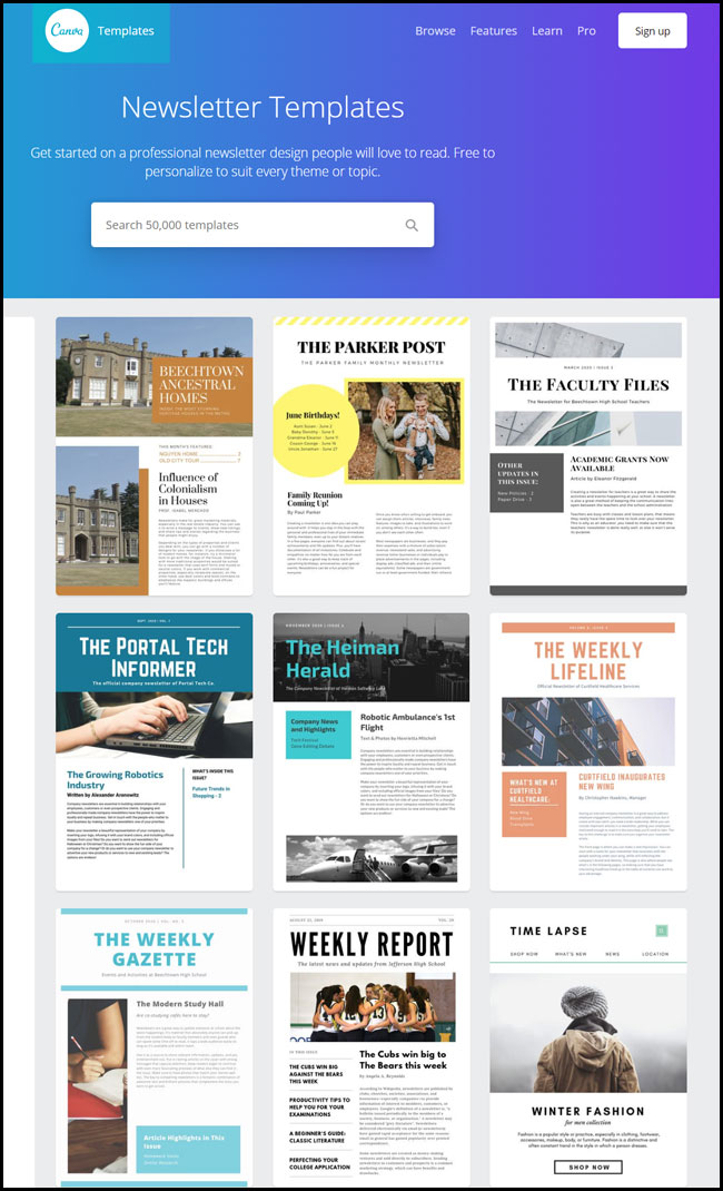 Canva Newsletter Templates