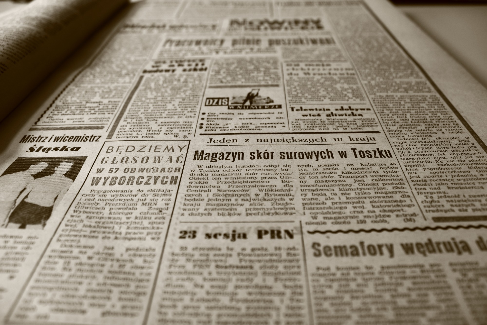 what is a newswire