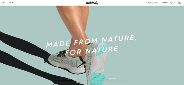 All birds home page example