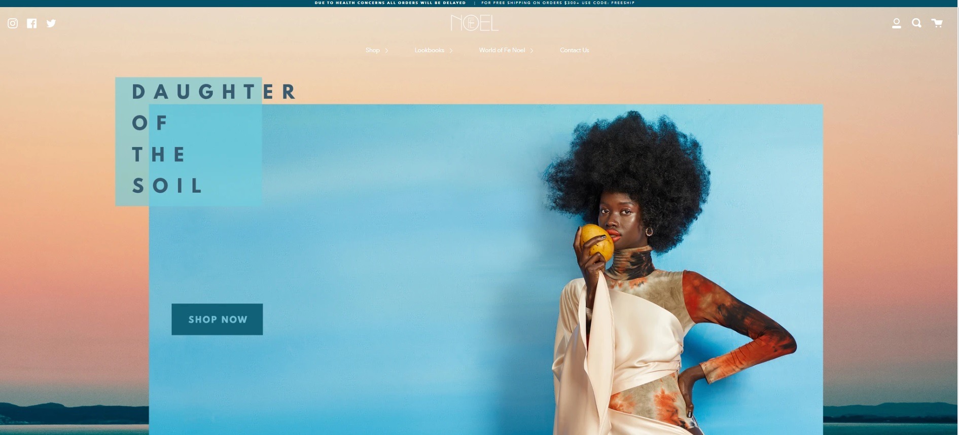Noel online store example