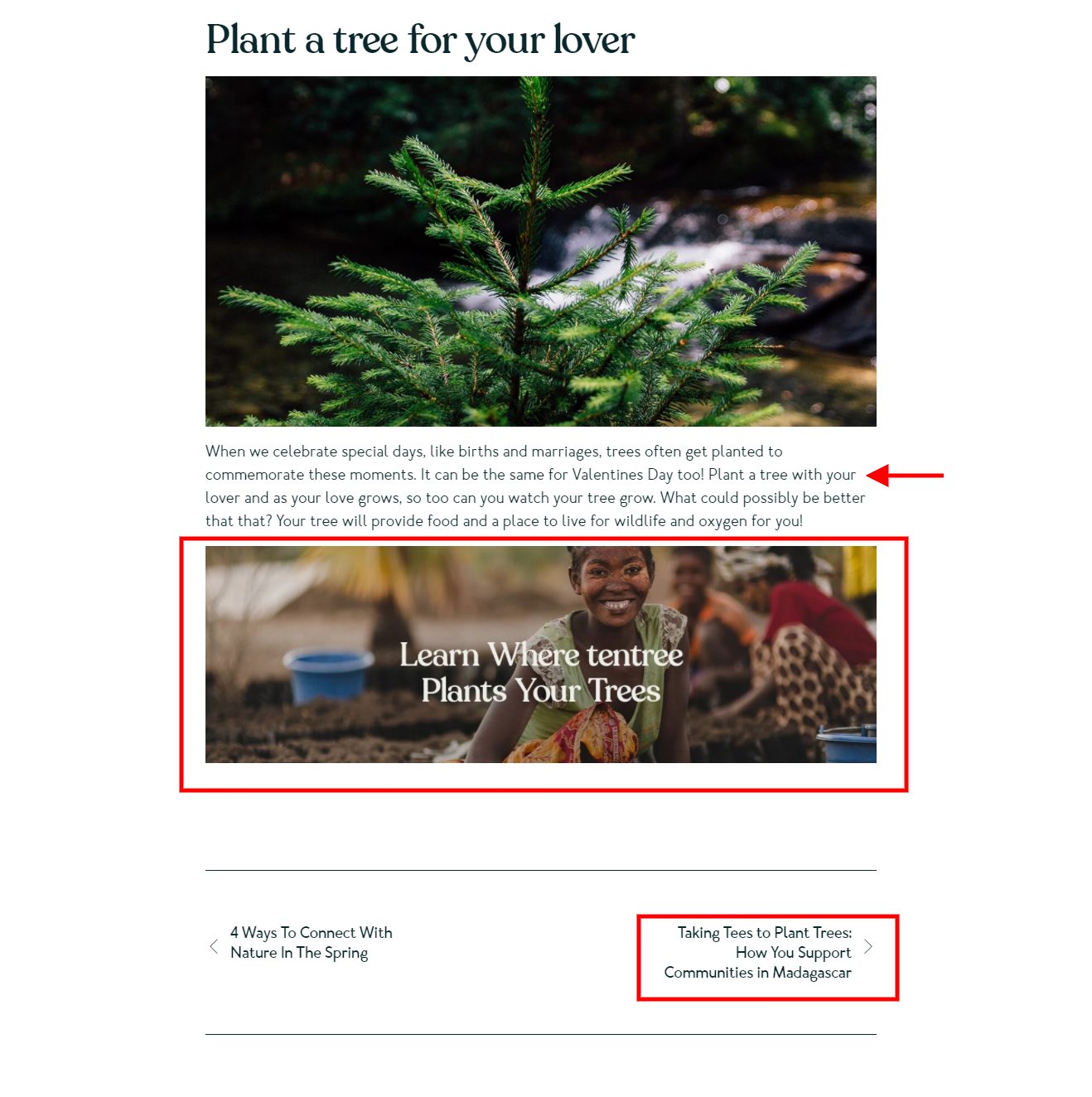 8 Tested Ways to Use Your eCommerce Blog to Capture Leads