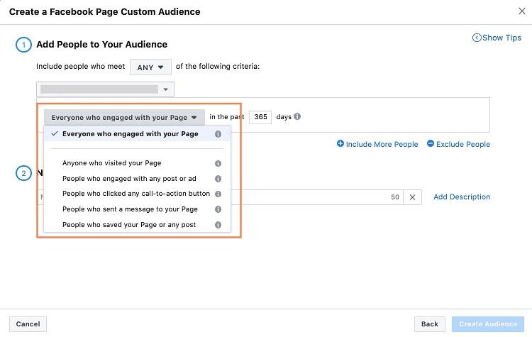 audience options for Facebook ecommerce