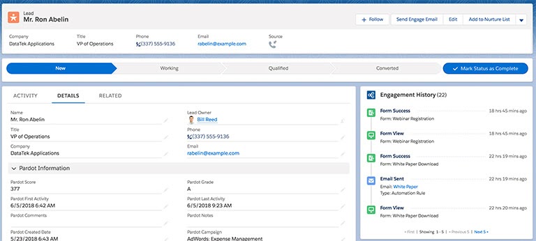 marketing automation salesforce data
